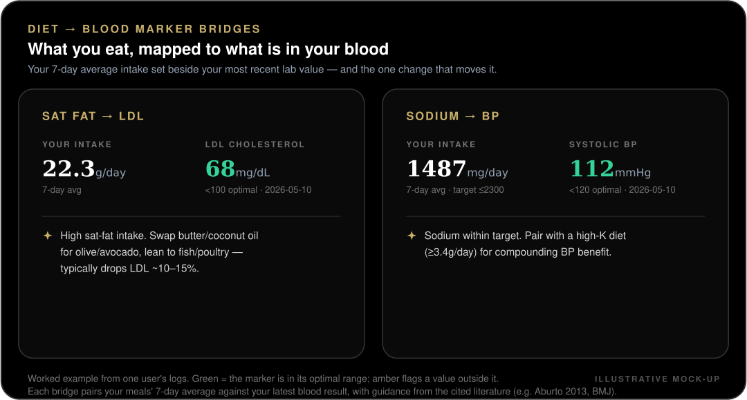 Mock-up of two Misi diet-to-biomarker bridge cards. The first pairs saturated fat intake of 22.3 g per day with an LDL cholesterol reading of 68 mg per dL and a recommendation to swap to olive and avocado oils. The second pairs sodium intake of 1487 mg per day with systolic blood pressure of 112 mmHg and a recommendation to pair with a high-potassium diet.