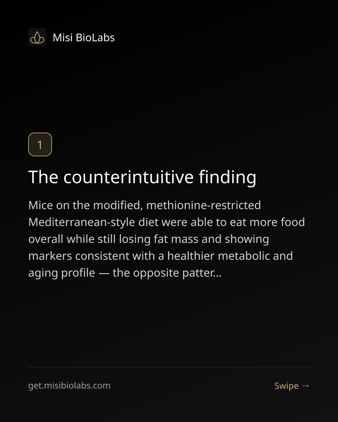 Carousel slide 2