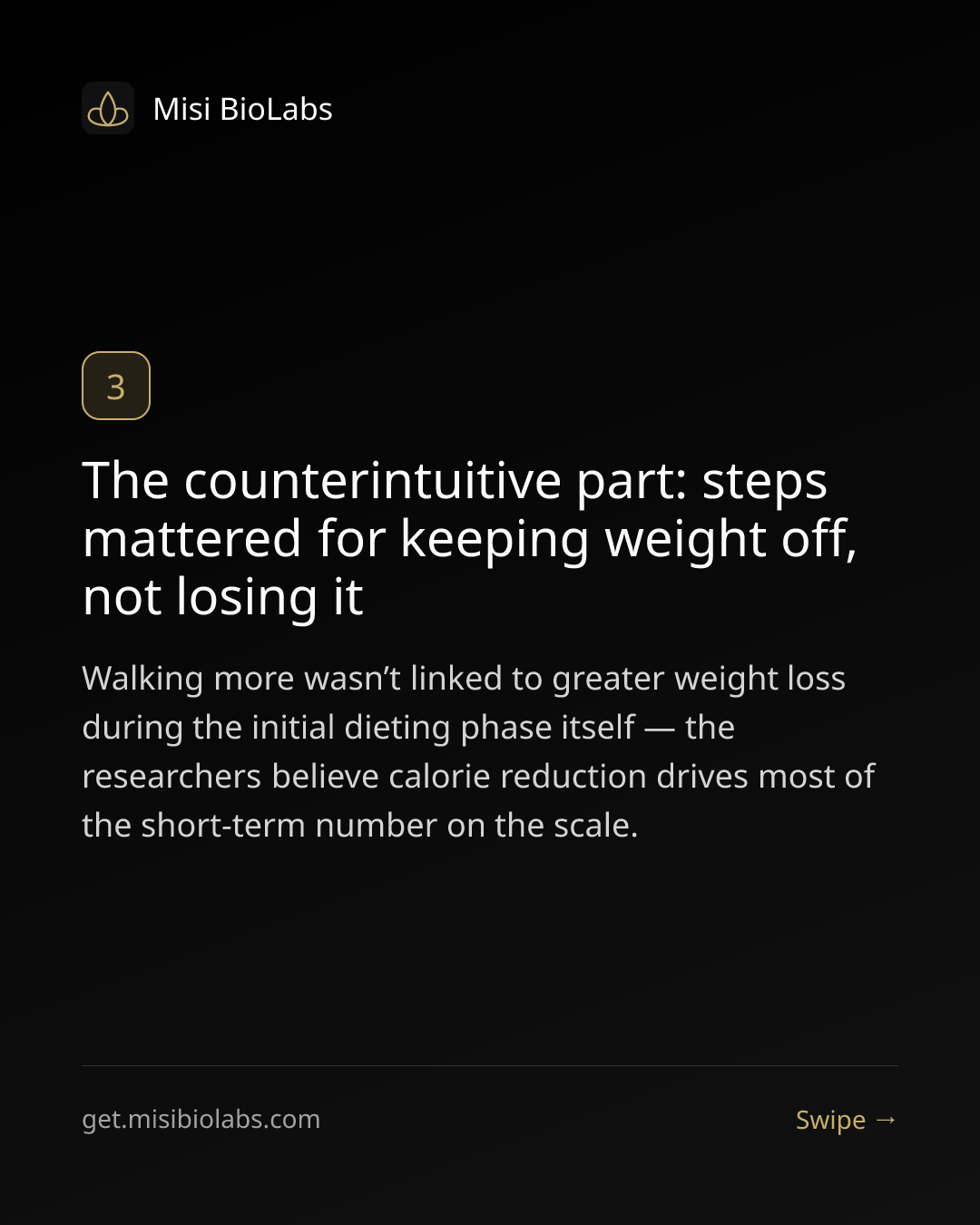 Carousel slide 4